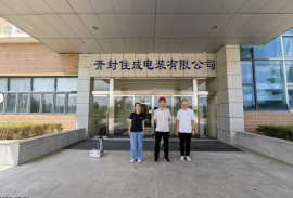 ����ס�ɵ�װ���޹�˾2025���ְҵ��Σ�����ڼ�ⱨ��